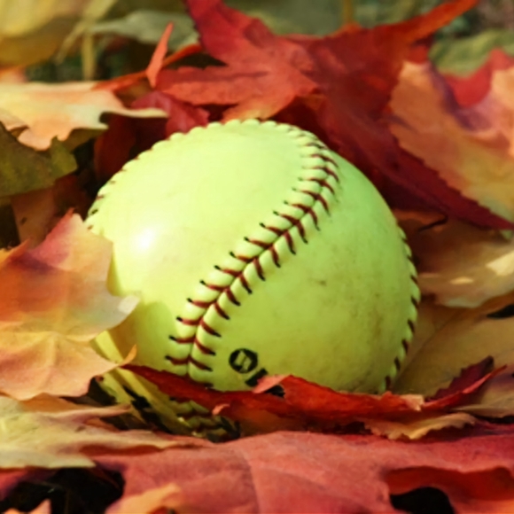 Meet your Posher, Leona - Picture 1 of 2